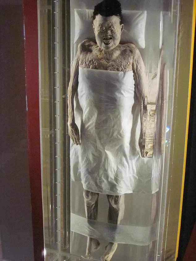 The Pinnacle of Mummification! Lady of Dai's 2,000-Year-Old Body Retains Original Hair and Soft Skin