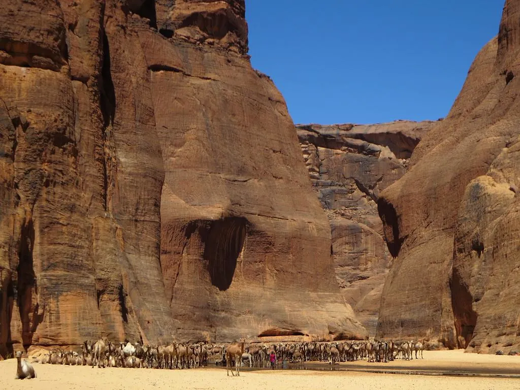 Guelta d’Archei: Un Oasis Onírico en el Corazón del Desierto del Sahara