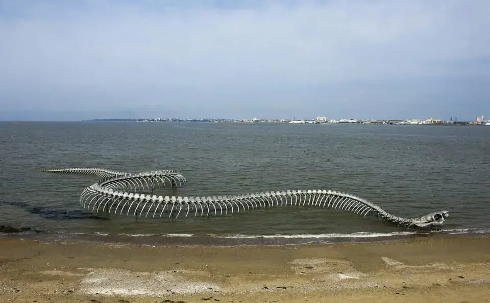 Breaking News: Colossal Snake Skeleton Unearthed in the Loire River, France – An Astonishing Archaeological Revelation!