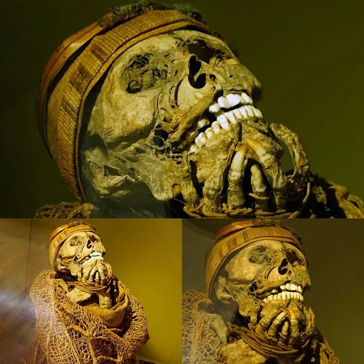 Puno Museum Reveals Arcane Warrior Mummies: Discover the Secrets That Have Been Hidden!