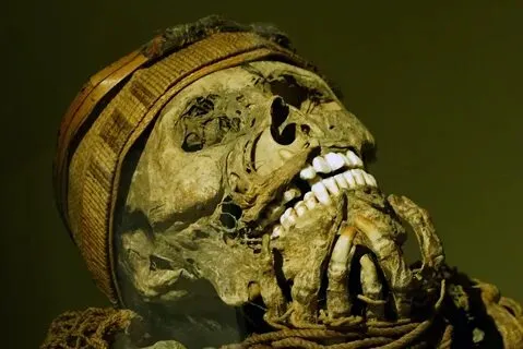 Puno Museum Reveals Arcane Warrior Mummies: Discover the Secrets That Have Been Hidden!
