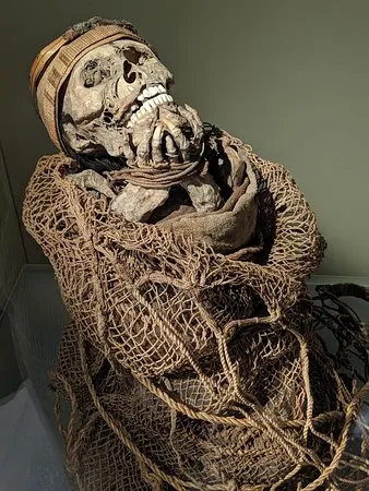 Puno Museum Reveals Arcane Warrior Mummies: Discover the Secrets That Have Been Hidden!