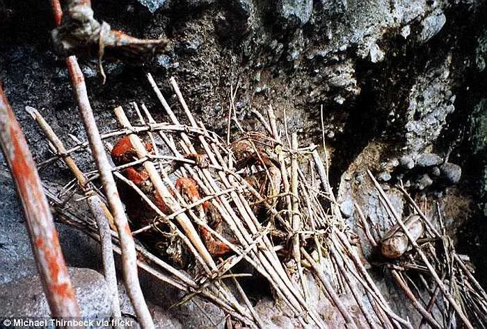 Shocking Discovery: Mummy Found on a Cryptic Throne Unveils Connection to the Spirit Realm