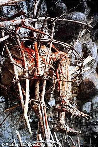 Shocking Discovery: Mummy Found on a Cryptic Throne Unveils Connection to the Spirit Realm