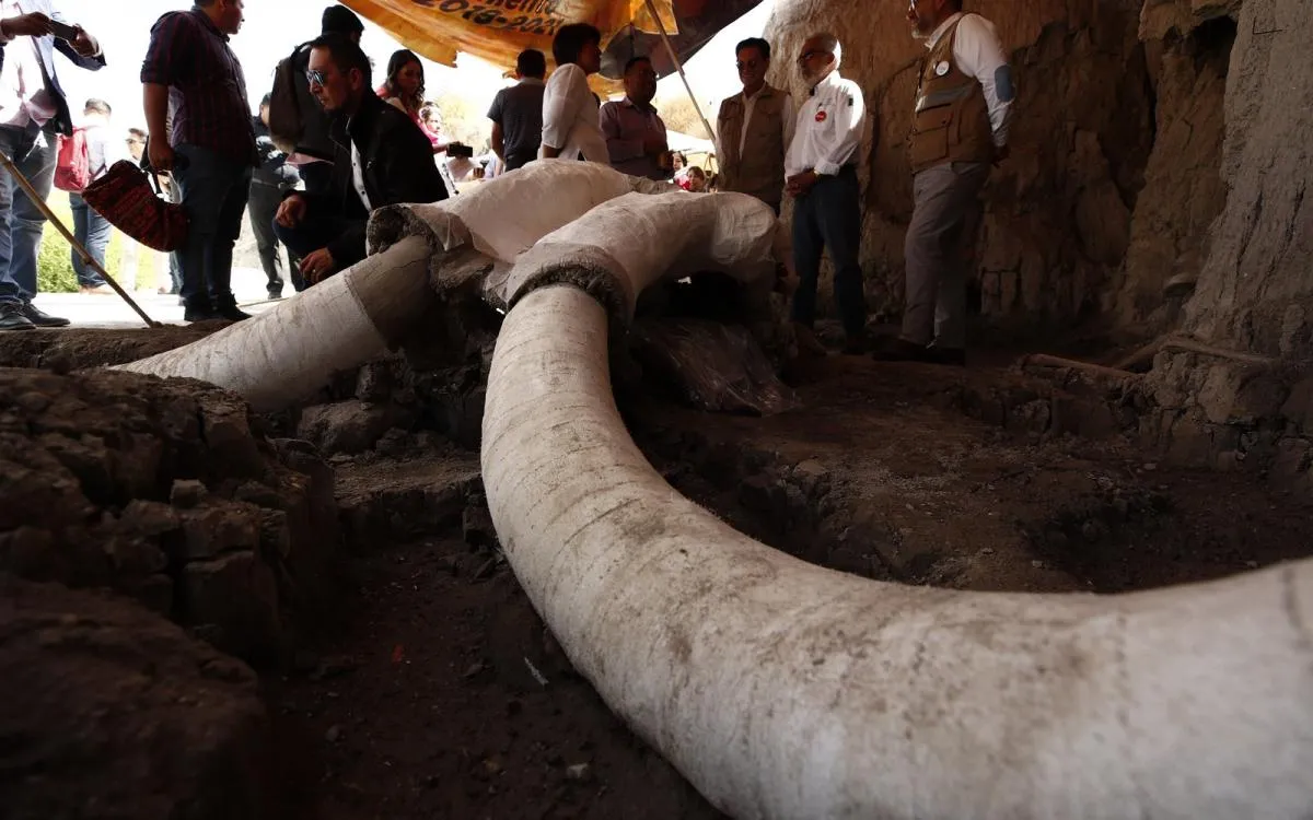 Shocking Discovery: Ancient Human Remnants Found Embedded in Woolly Mammoth Remains