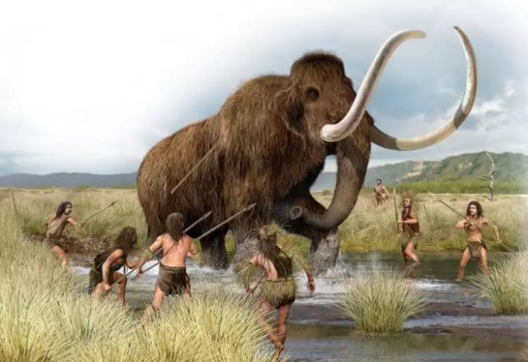 Shocking Discovery: Ancient Human Remnants Found Embedded in Woolly Mammoth Remains