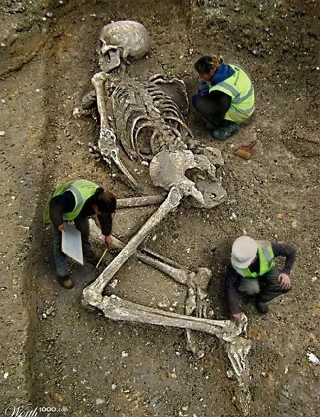 Shocking Revelation: Giant Nephilim Skull Discovered—A Find That Could Completely Alter the History of Giants!