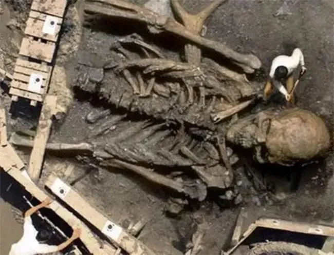 Shocking Revelation: Giant Nephilim Skull Discovered—A Find That Could Completely Alter the History of Giants!