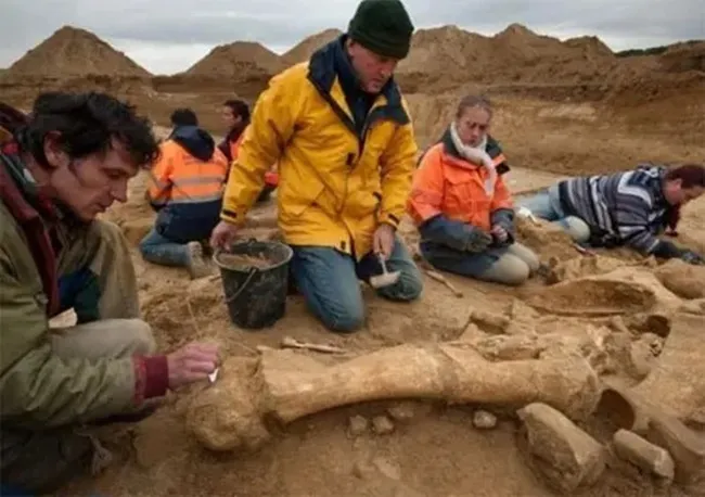 Shocking Revelation: Giant Nephilim Skull Discovered—A Find That Could Completely Alter the History of Giants!