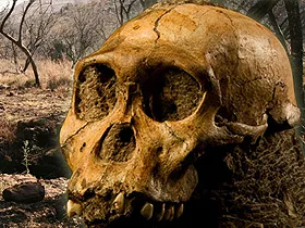 Uncovering the incredible: Giant alien remains discovered and the mysteries of extraterrestrial connections exposed