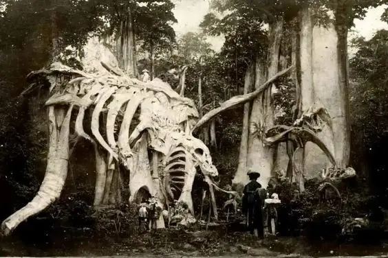 Shocking Revelation: Fossilized Remains of Prehistoric Giants Defy All Scientific Understanding