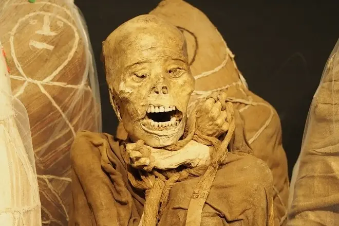 Shocking Secret! Kuelap in Peru, the ‘Machu Picchu of the North,’ Has Been Hiding the Dark Mystery of a Mummy for 500 Years.