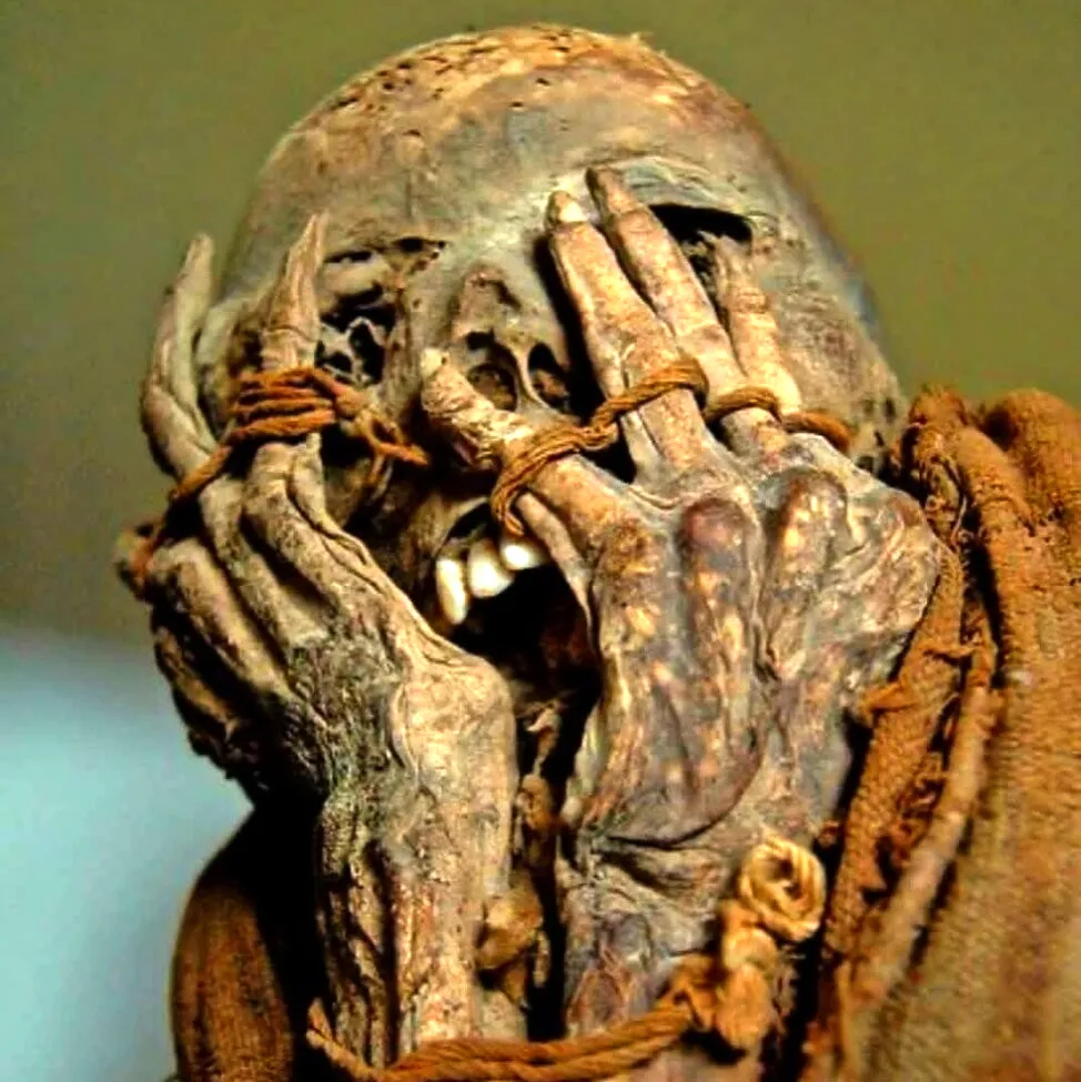 Shocking Secret! Kuelap in Peru, the ‘Machu Picchu of the North,’ Has Been Hiding the Dark Mystery of a Mummy for 500 Years.