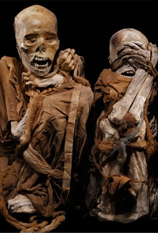 Shocking Secret! Kuelap in Peru, the ‘Machu Picchu of the North,’ Has Been Hiding the Dark Mystery of a Mummy for 500 Years.
