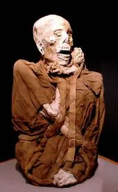 Shocking Secret! Kuelap in Peru, the ‘Machu Picchu of the North,’ Has Been Hiding the Dark Mystery of a Mummy for 500 Years.