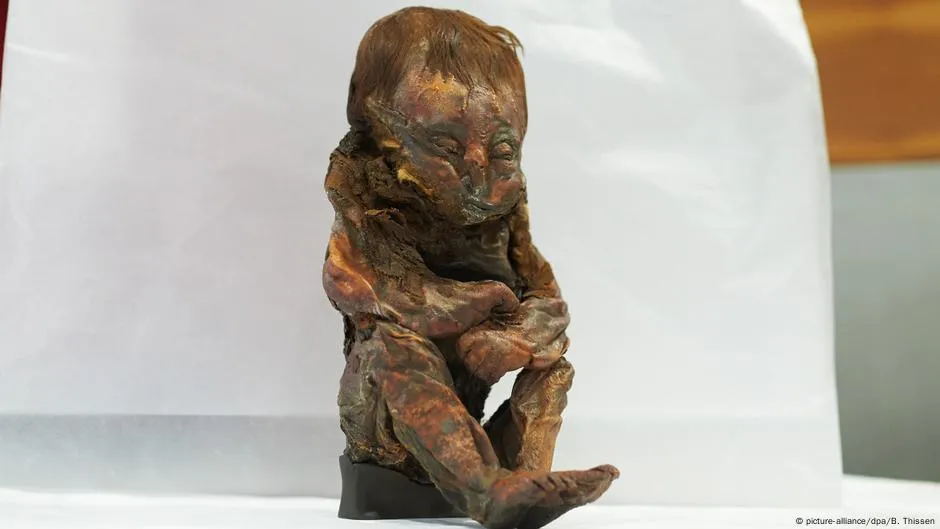 In 1958, a remarkable discovery was made in the Acacus Mountains of southwestern Libya: a mummy dating back approximately 5,600 years.