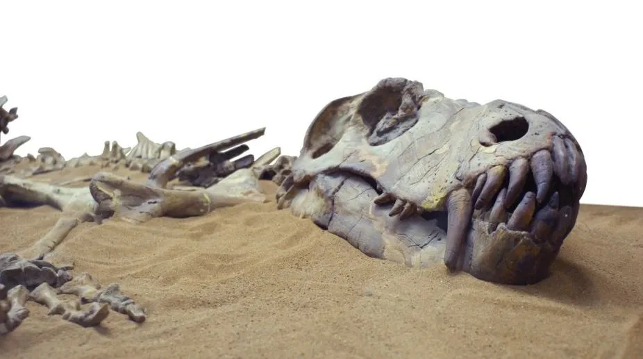Unveiling History’s Marvels: Recent Discoveries of Prehistoric Creatures Shock the World