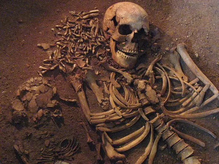 A poignant burial site has been discovered in Denmark, revealing the intimate bond between mother and child dating back 6,000 years.