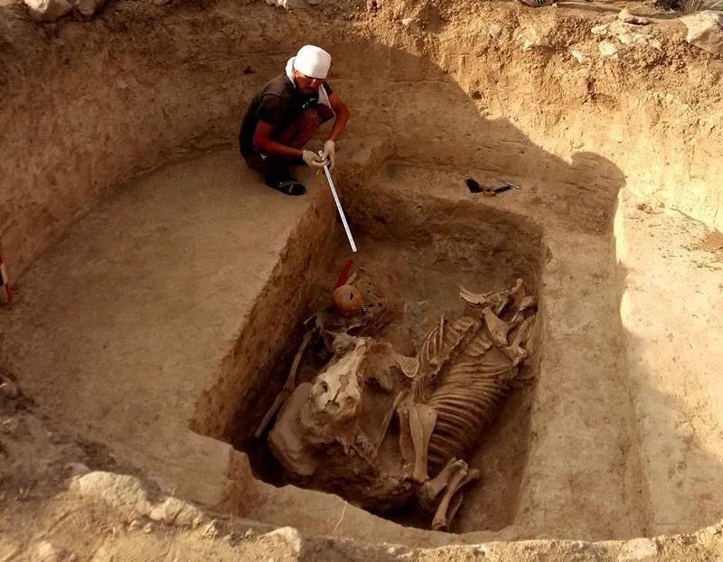 Breaking News: Intact Dinosaur Unearthed in the Amazon Jungle—A Groundbreaking Discovery