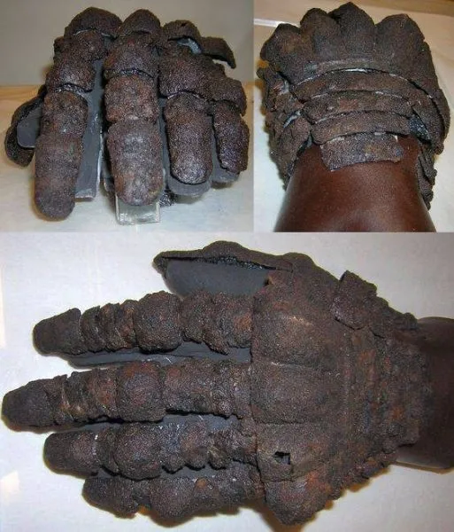 Unearthing the Past: The Discovery of a Medieval Woman in Armor Unveils a Tale of Strength and Intrigue