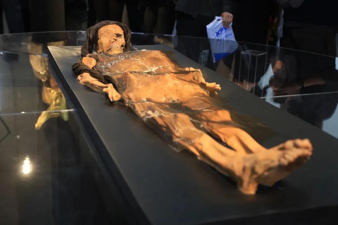 Explore the enigma of the Lady of Cao: Peru's tattooed mummy with secrets from the past.