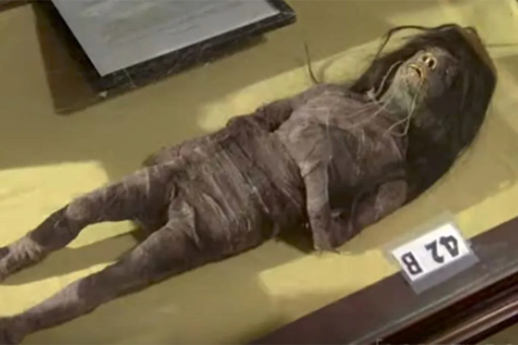 Terrifying revelation: shrunken head from 1979 film Wise Blood identified as genuine human tissue, shocking film industry
