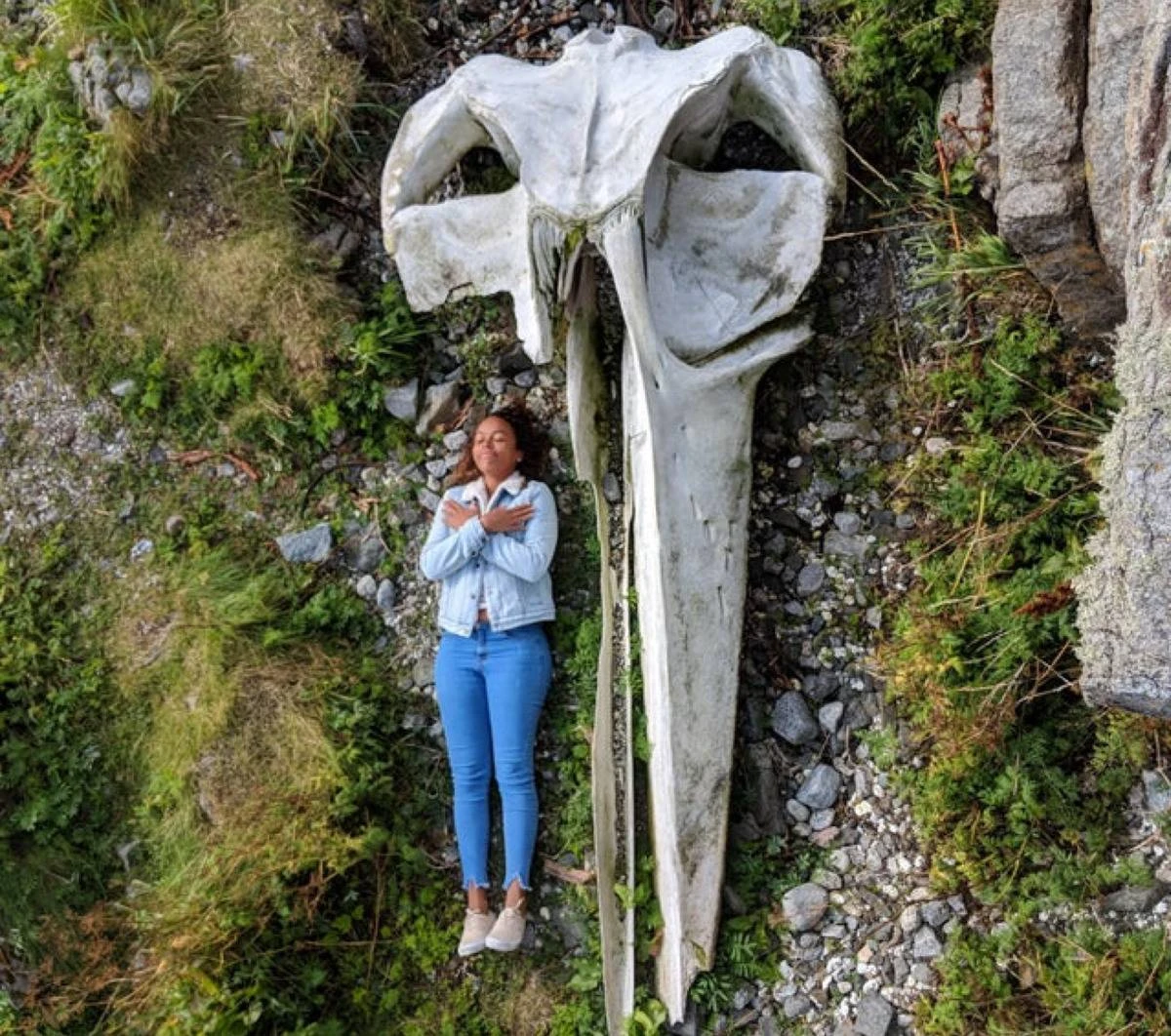 Breaking News: Medieval Giant's Skull Discovered! Spears Found on Turkish Coast