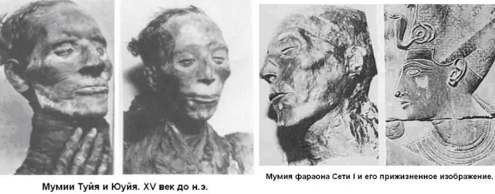 Stunning Discovery: Thyia Mummy Revealed as Mother of Queen Tiye, Grandmother of Akhenaten, and Great-Grandmother of Tutankhamun!