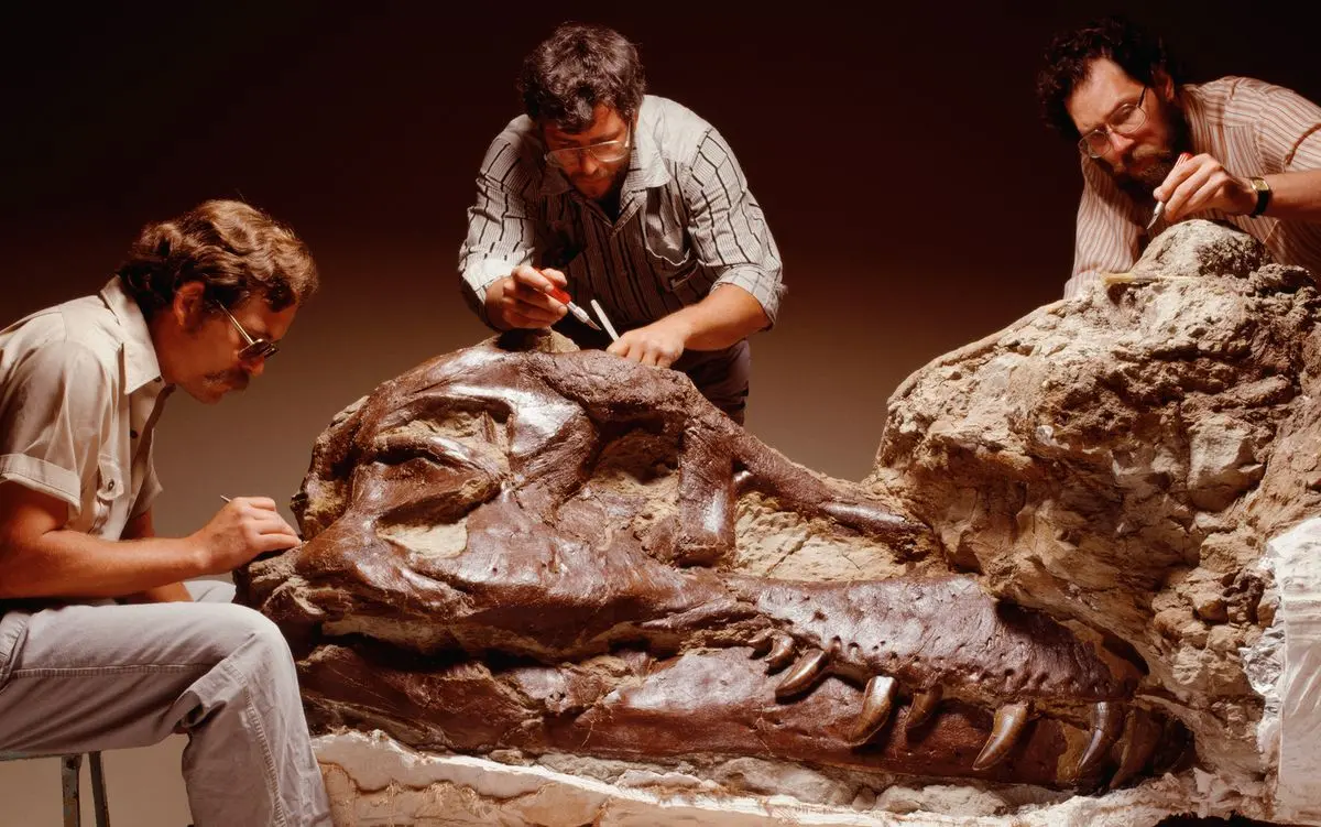 Groundbreaking Amazon Discovery: Intact Dinosaur Revealed, Named ‘Cahas’—A Paleontological Marvel!