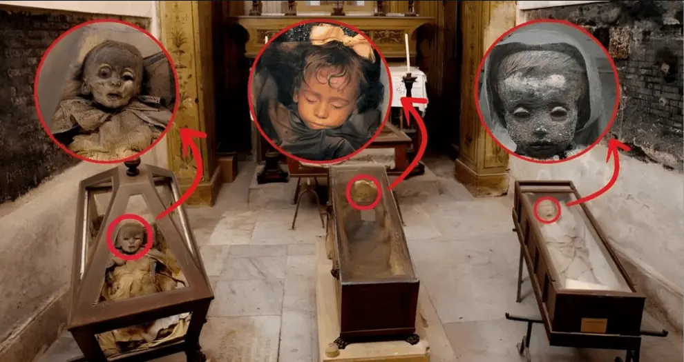 Macabre Discovery: Unraveling the Terrible Mystery of the Mummified Children in the Capuchin Catacombs - Researchers Delve Deeper into Their Dark and Untold Stories.