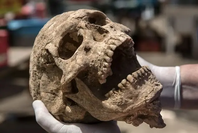 Excavations halted due to mysterious damage caused by weapon found next to unearthed skull