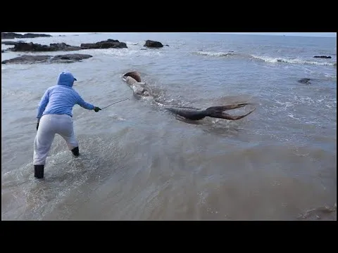 Latest News: Mystery Lake: Family films a real mermaid, shocking the world