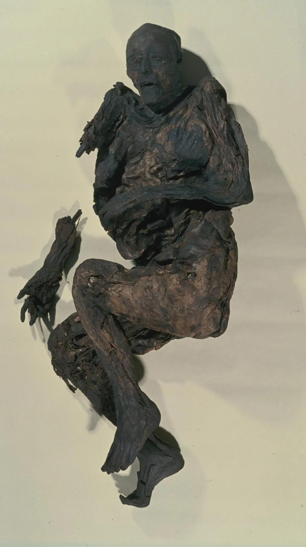 Unraveling the Mysteries of the 30,000-Year-Old Huldremose Woman: A Fascinating Exploration of Denmark's Historical Past