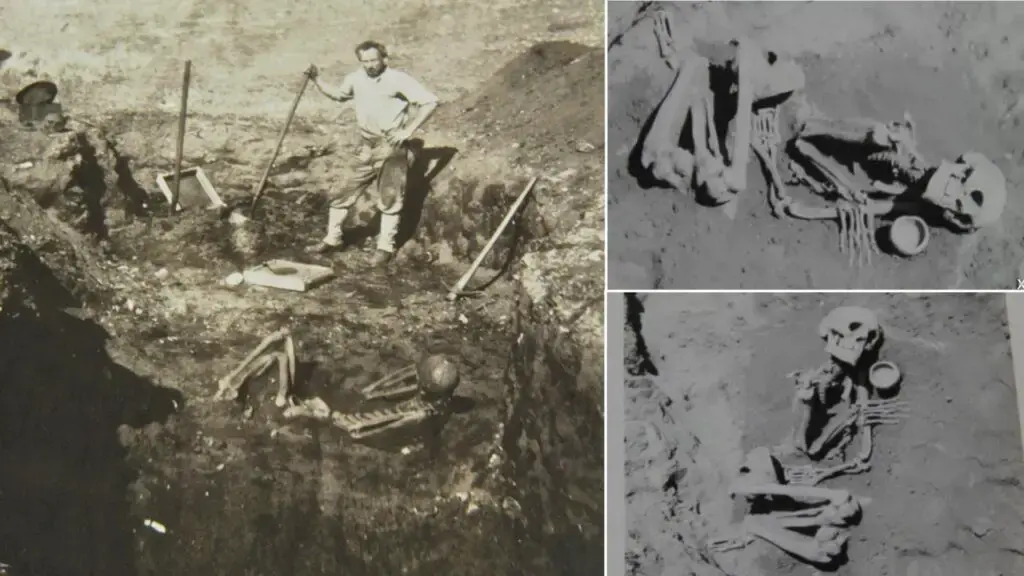Uncovering the Mystery of the Catalina Island Giants: Myth or Reality?