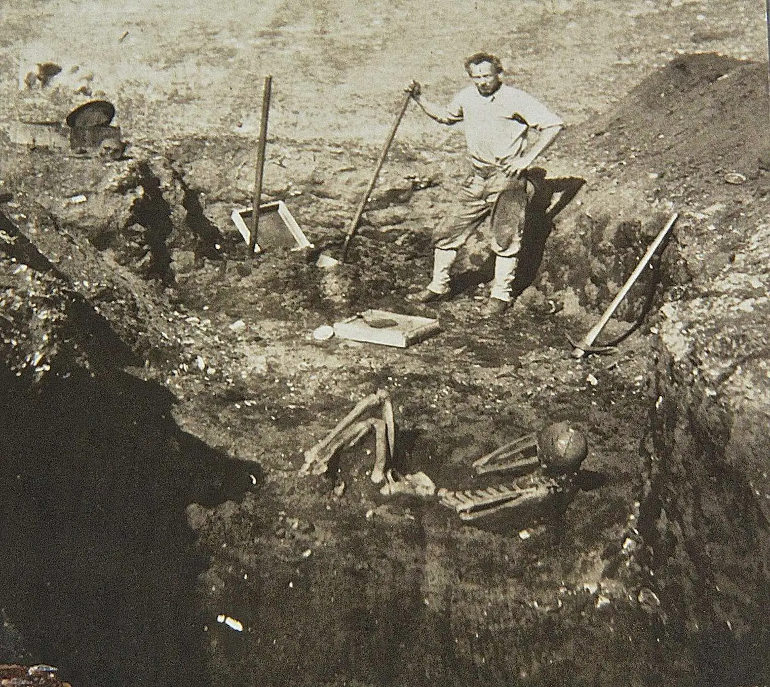 Uncovering the Mystery of the Catalina Island Giants: Myth or Reality?