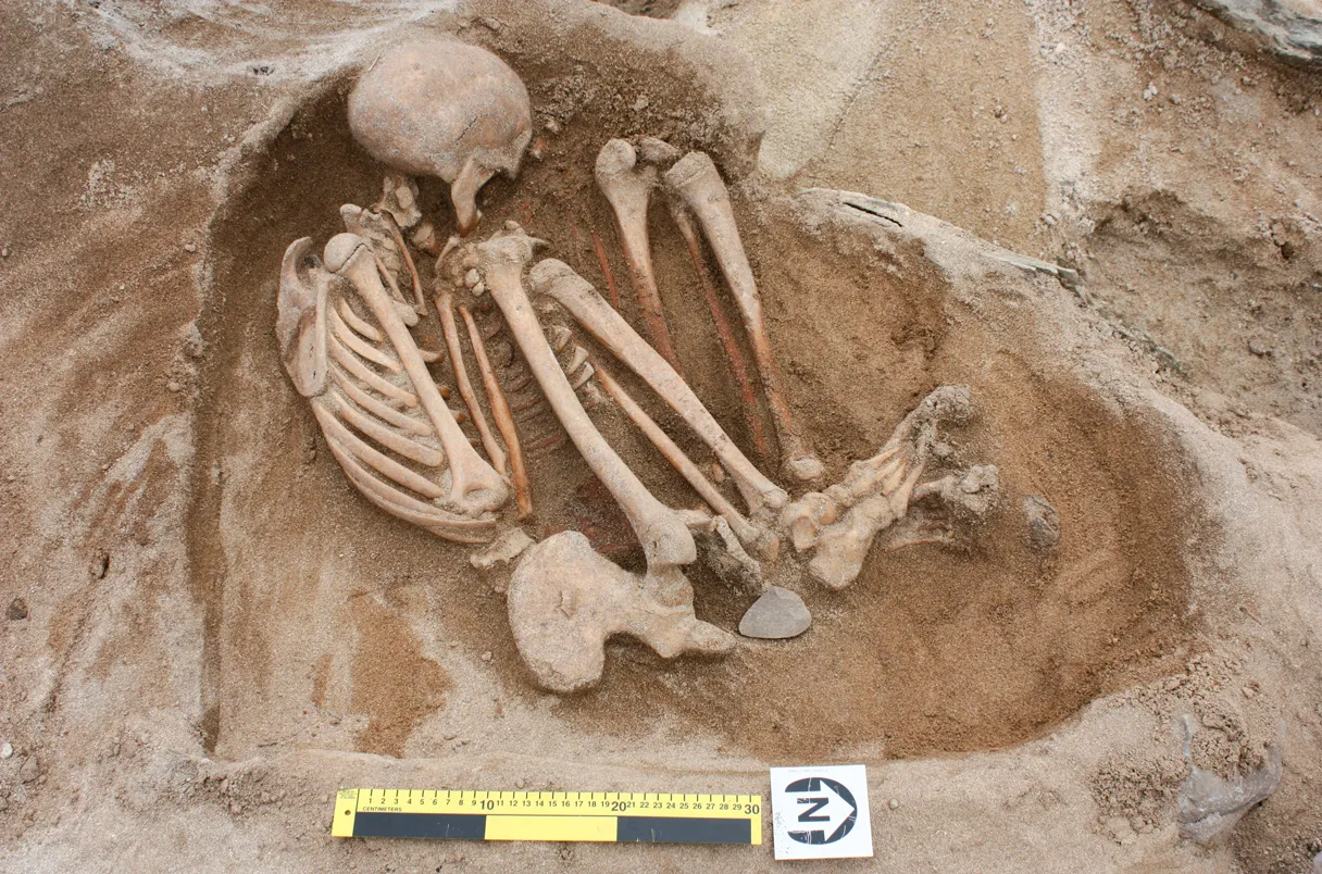 Fascinating discovery: Ancient human skull unearthed on the southeastern coast of Saudi Arabia in 2004