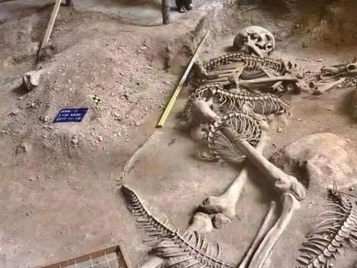 Fascinating discovery: Ancient human skull unearthed on the southeastern coast of Saudi Arabia in 2004