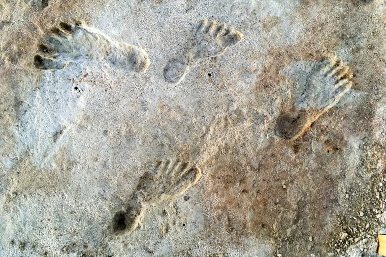 Fossil footprints show humans were in North America more than 21,000 years ago
