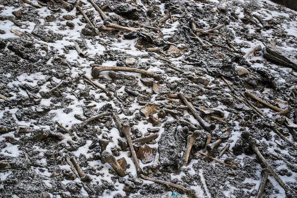 Discover the mystery of the ‘Lake of Human Skeletons’ on the roof of the world, the Himalayas