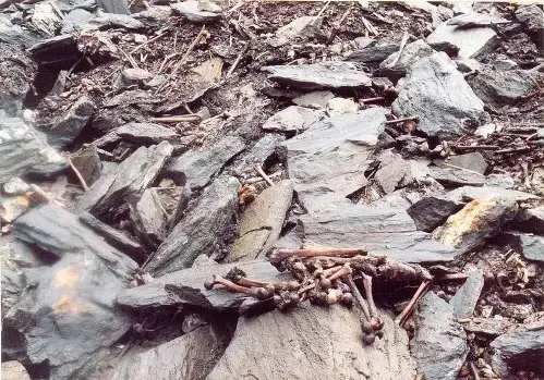 Discover the mystery of the ‘Lake of Human Skeletons’ on the roof of the world, the Himalayas