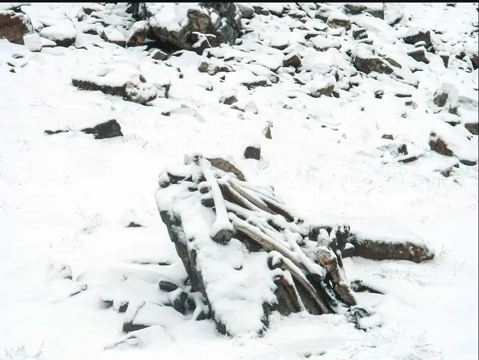 Discover the mystery of the ‘Lake of Human Skeletons’ on the roof of the world, the Himalayas