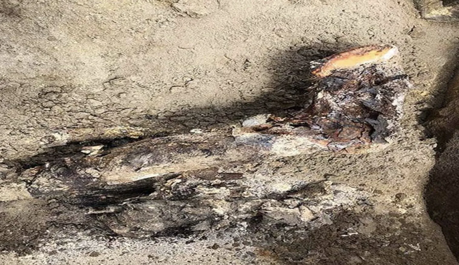 Breaking News: Siberian ‘Sleeping Beauty’ – 2,000-year-old mummy found in reservoir