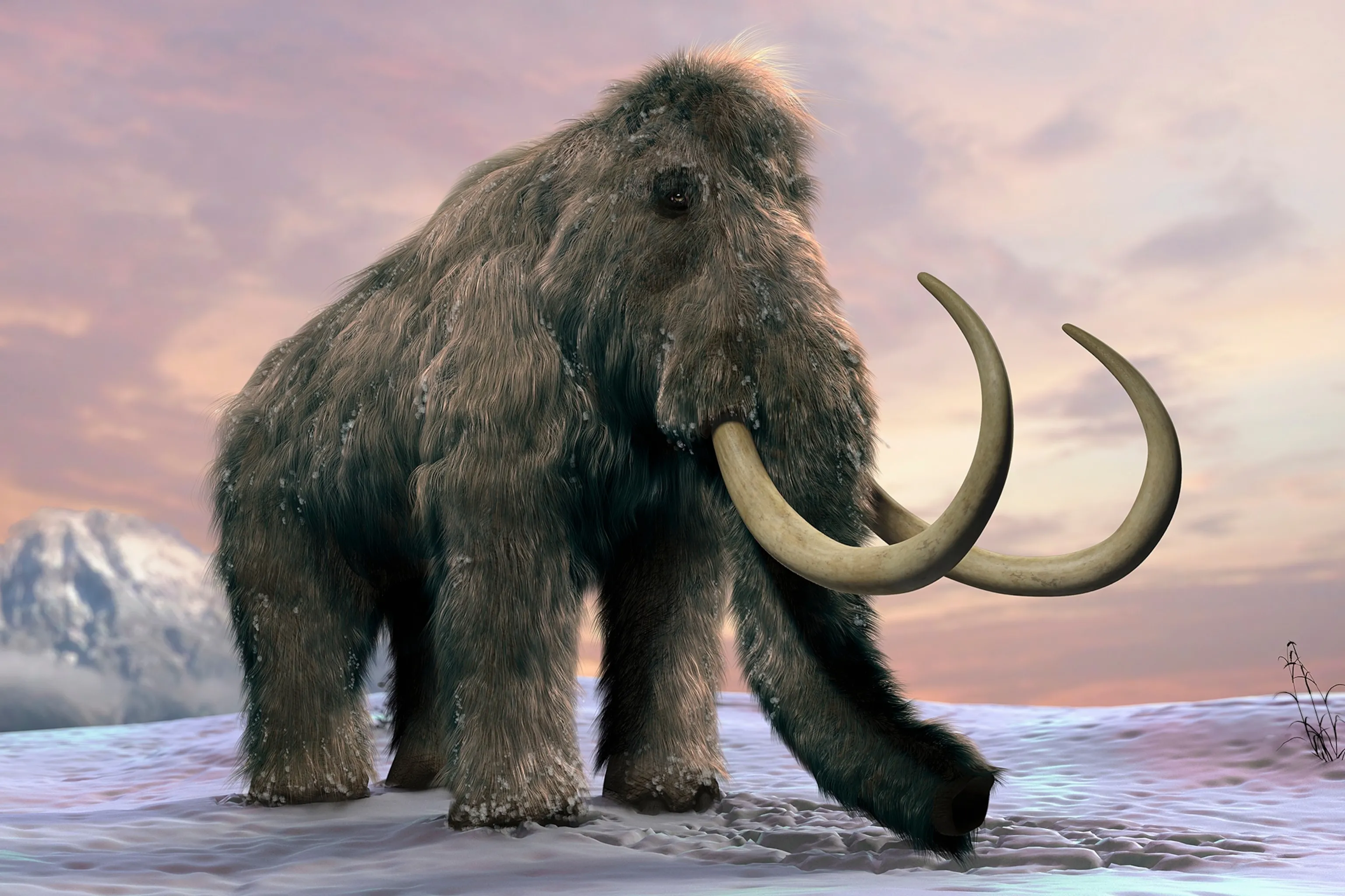 Astonishing Discovery: 6 Million-Year-Old Woolly Mammoth Fossil Unearthed in Michigan Redefines Prehistoric History