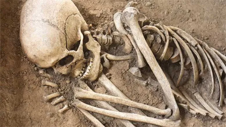 Giants and the Smithsonian: Debunking Myths with Shocking Evidence