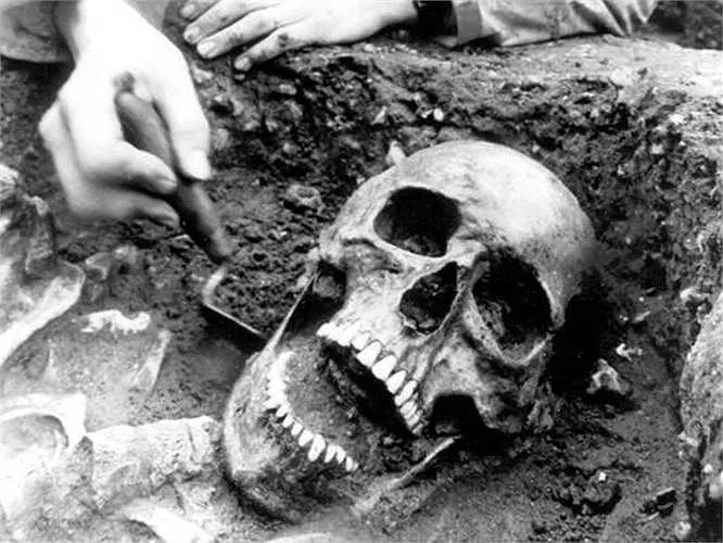 Giants and the Smithsonian: Debunking Myths with Shocking Evidence