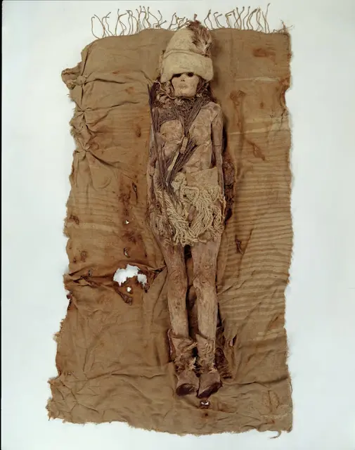 Revealing the timeless appeal of the Princess of Xiaohe, a mummy that captivates hearts even after nearly 4,000 years. Explore the enigmatic beauty and cultural legacy of this ancient icon