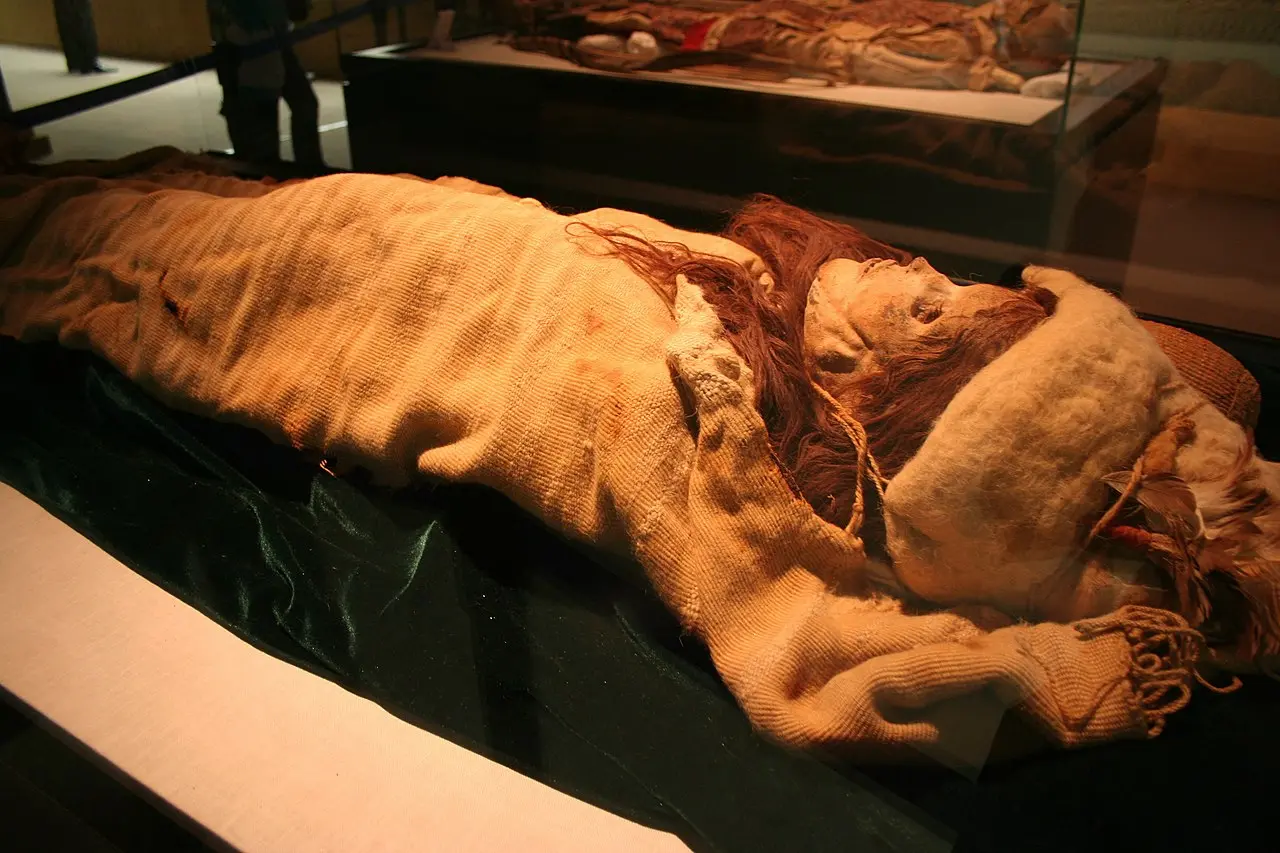 Revealing the timeless appeal of the Princess of Xiaohe, a mummy that captivates hearts even after nearly 4,000 years. Explore the enigmatic beauty and cultural legacy of this ancient icon