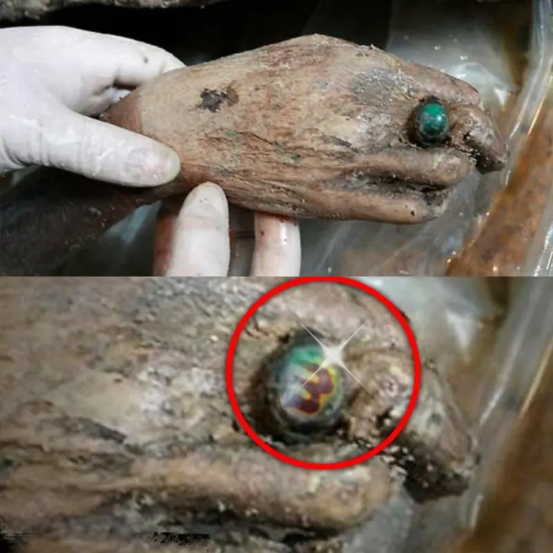 Ancient Enigma Revealed: Discovery of Intact 700-Year-Old Chinese Mummy. -  Archaeological art