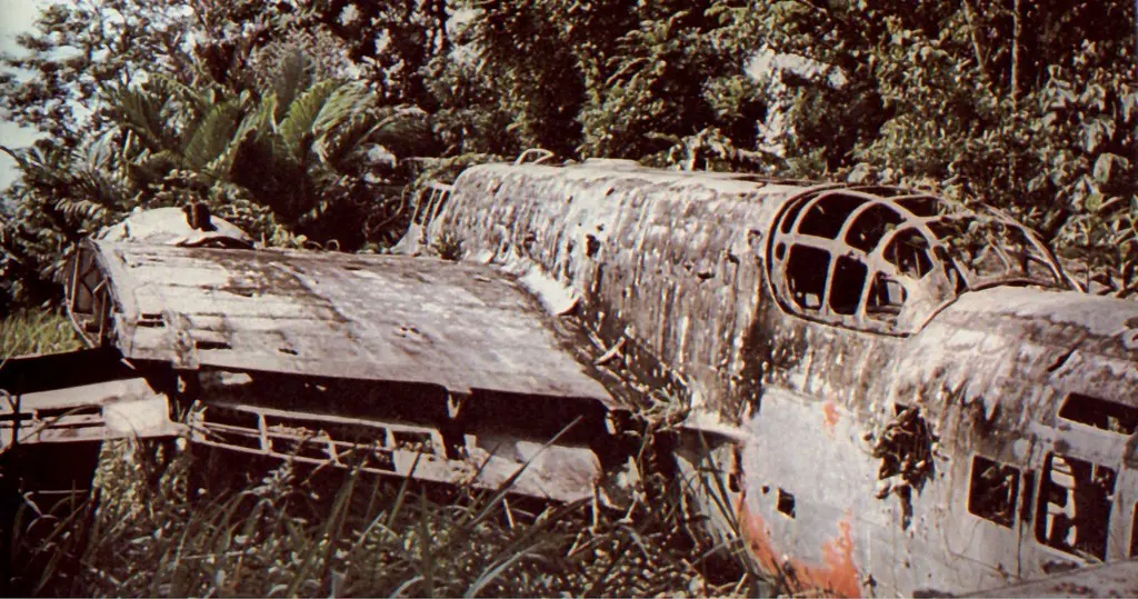 Malaysia Airlines Flight 370: Discovery reveals mysterious fate in Cambodian jungle, reshaping aviation history