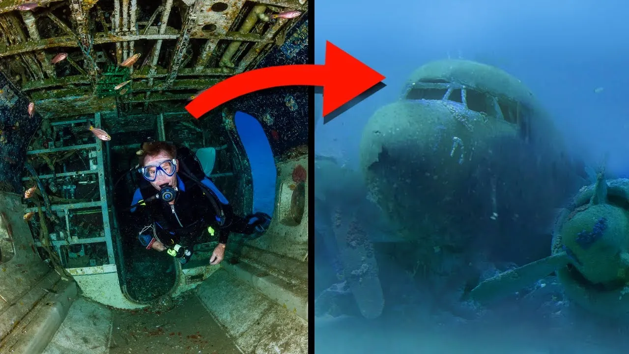 Shocking find: Intact skeleton of pilot found in missing plane 1,000 meters underwater